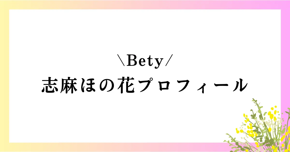 Bety志麻ほの花の高校は？本名や年齢などのプロフィールや経歴